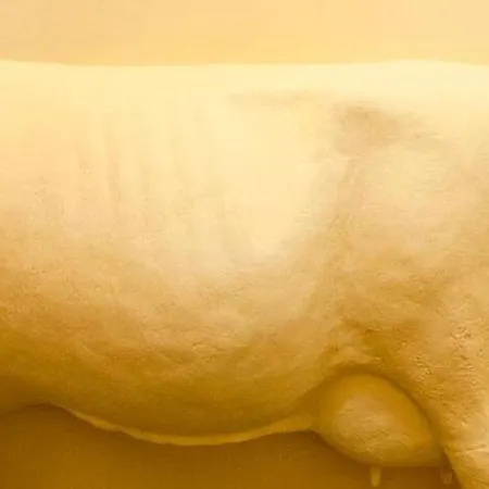 Fabrica Do Chocolate