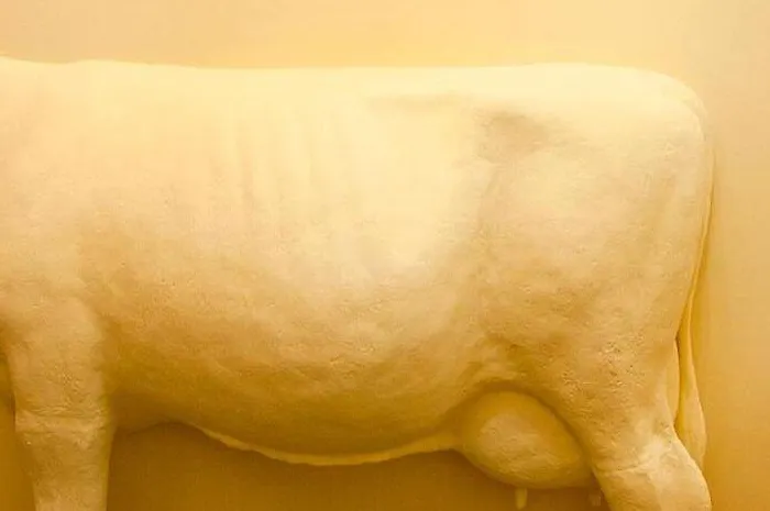 Fabrica Do Chocolate