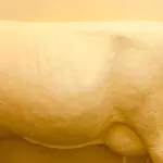 Fabrica Do Chocolate